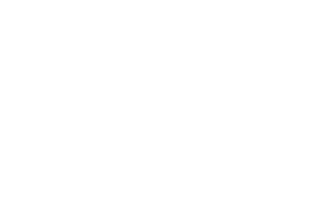 FE